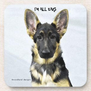 I'M ALL EARS COASTER