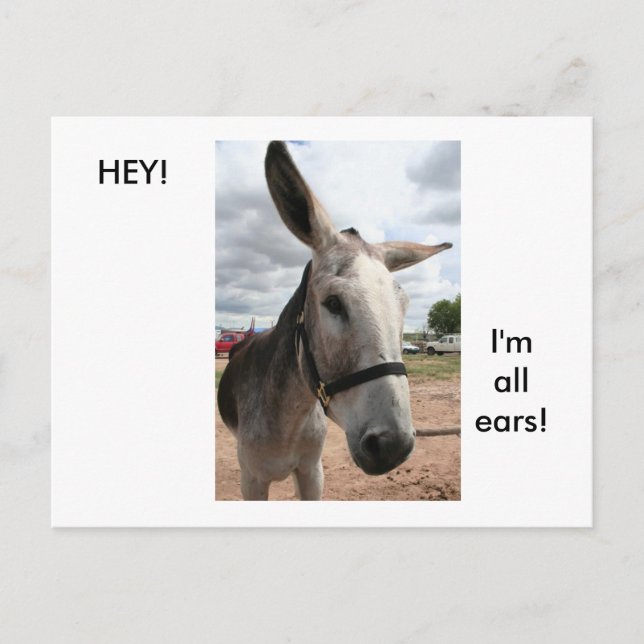 I'm All Ears Postcard (Front)