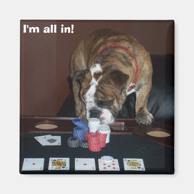 I'm all in! magnet (Front)