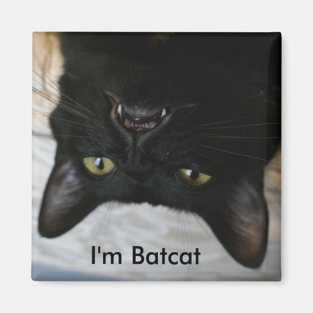 I'm Batcat magnet (Front)