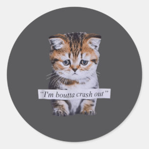 I'm Boutta Crash Out Cat Funny Meme Cat Pet Lover  Classic Round Sticker