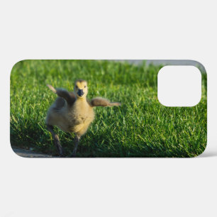 I'm Coming Daddy iPhone Case
