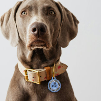 I'm Deaf Custom Text Pet Medical Alert Blue Black Tag