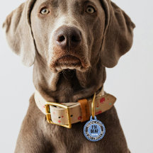 I'm Deaf Custom Text Pet Medical Alert Blue Black