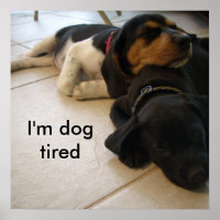 I'm dog  tired