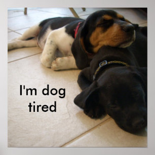 I'm dog  tired poster