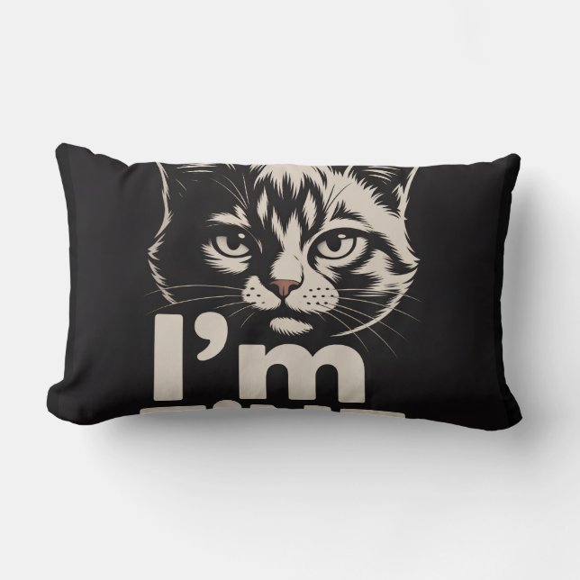 i'm fine lumbar cushion (Front)