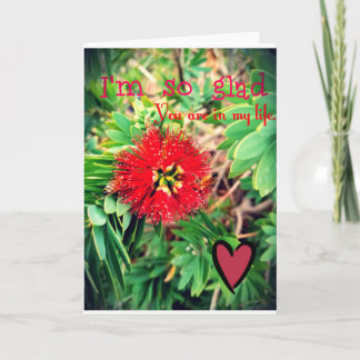 I'm Glad You Are in my Life Card