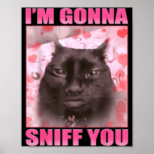 I'm Gonna Sniff You Funny Cats Meme Women Men Poster