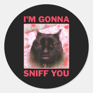 I'm Gonna Sniff You Funny Raunchy Brainrot Meme Ge Classic Round Sticker