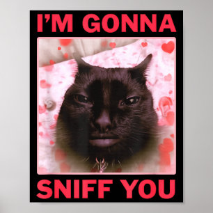 I'm Gonna Sniff You Funny Raunchy Brainrot Meme Ge Poster