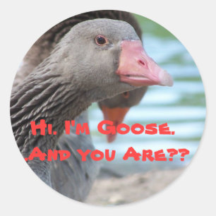I'm goose sticker