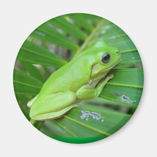 I'm Green Magnet (Front)