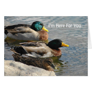 I'm Here for You Ducks in Water