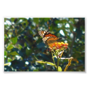 I'm Home Now Photo Print