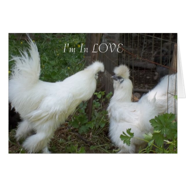 I'm In LOVE (Front Horizontal)