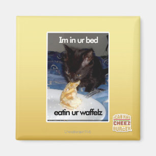 Im in ur bed magnet
