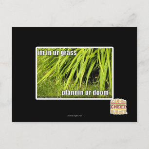 im in ur grass postcard