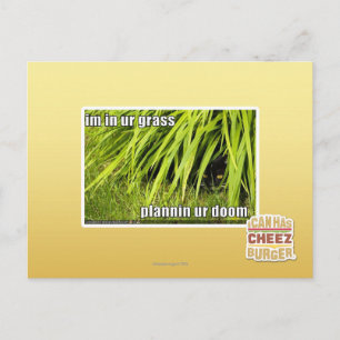 im in ur grass postcard