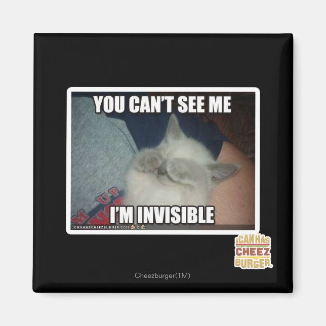 I'm Invisible Magnet (Front)