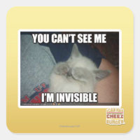 I'm Invisible