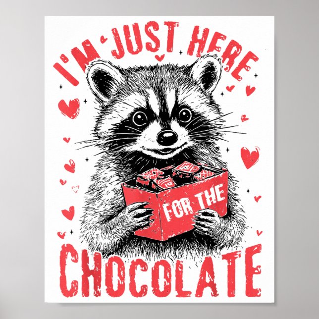 I'm Just Here For The Chocolate Funny Raccoon Vale Poster (Front)