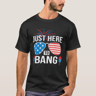 Im Just Here To Bang 4th July American Flag sungl T-Shirt