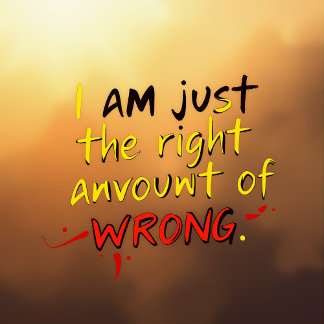 I'm Just The Right Amount of Wrong T-Shirt