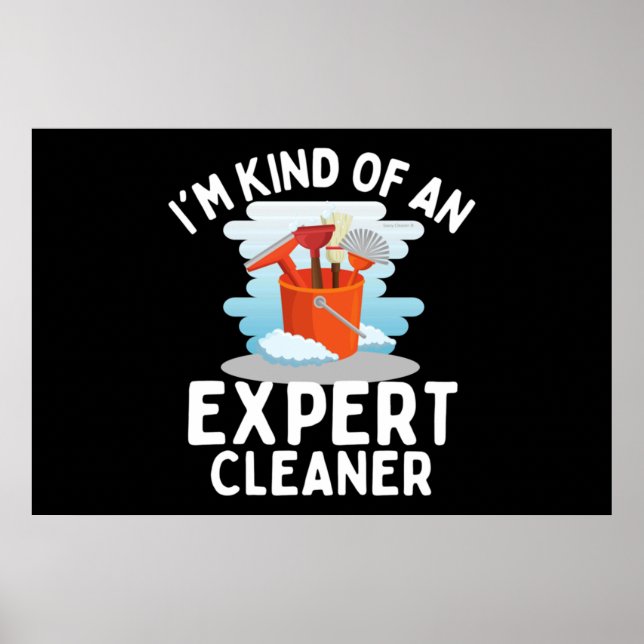 I'm Kind of An Expert Housekeeping Novelty Poster (Front)
