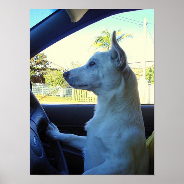 Im late poster (Front)