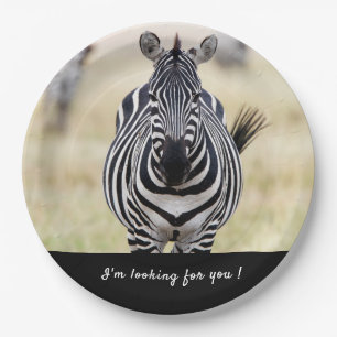 I'm looking for you Zebra photo with text Paper Plate