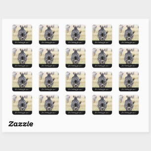 I'm looking for you Zebra photo with text Square Sticker