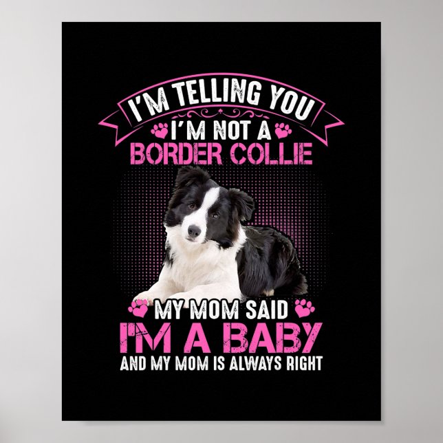 I'm Not a Border Collie My Mum Said I'm A Baby Poster (Front)