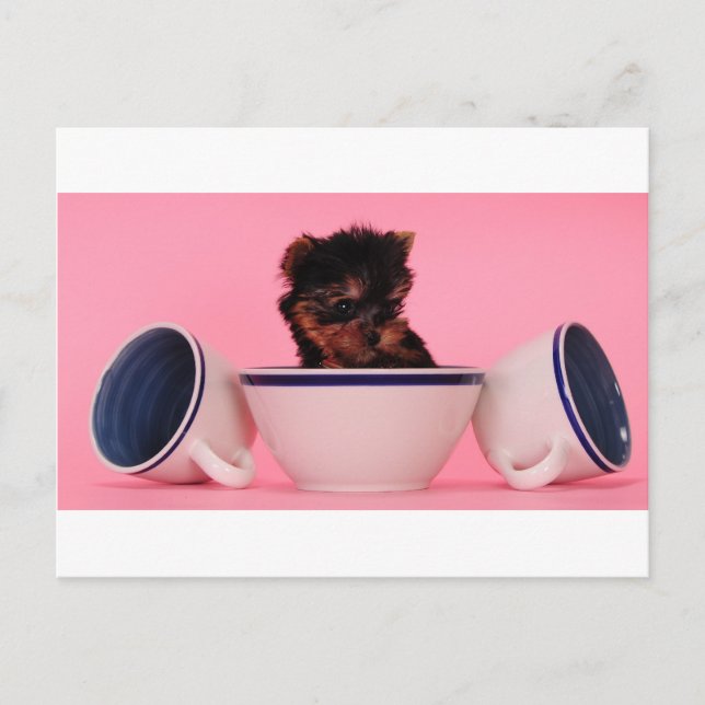 I'm not a Tea Cup Poodle! Postcard (Front)