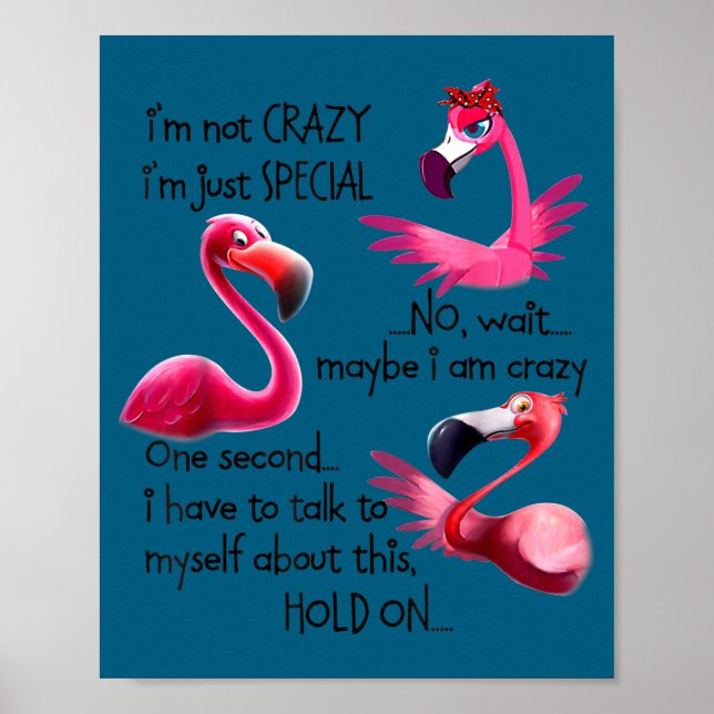 I'm Not Crazy I'm Just Special Funny Flamingo Sayi Poster (Front)