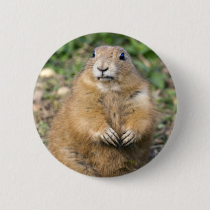 I'm Not Fat, I'm Cuddly Badge