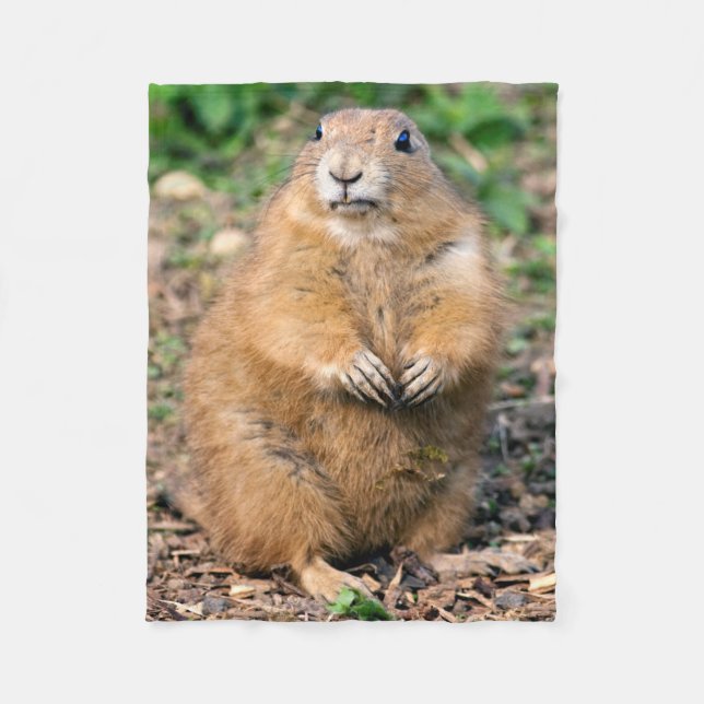 I'm not Fat, I'm Cuddly Fleece Blanket (Front)