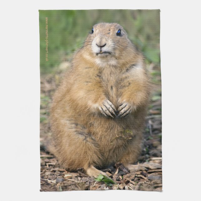 I'm not Fat, I'm Cuddly Kitchen Towel (Vertical)