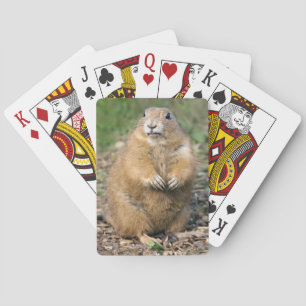 I'm not Fat, I'm Cuddly Playing Cards
