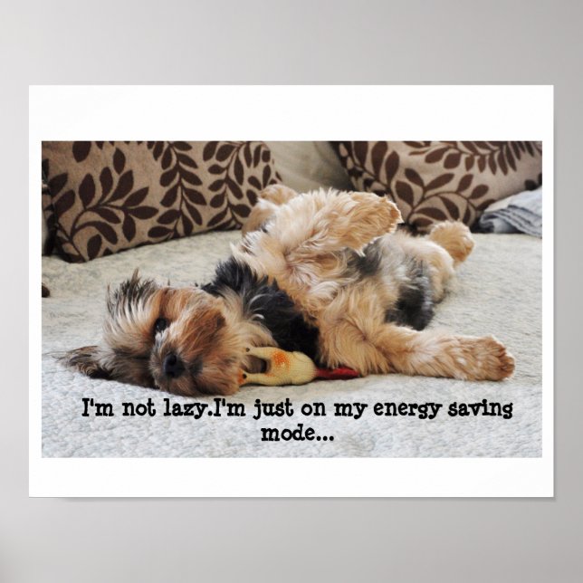 "I'm not lazy" Value Poster (Front)