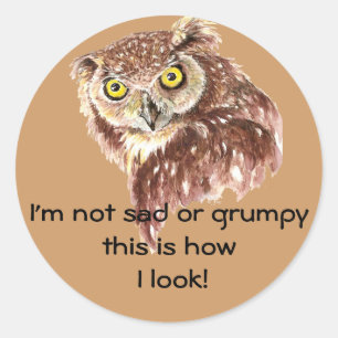 I'm not sad or grumpy this is how I look Owl Classic Round Sticker