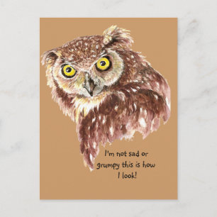 I'm not sad or grumpy this is how I look Owl Postcard
