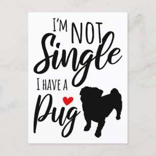 I'M Not Single I Have A Pug Postcard