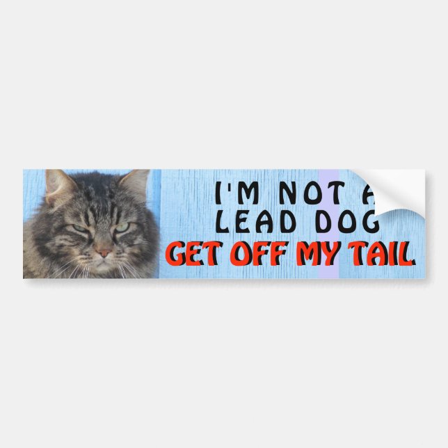 I'm Not Your Lead Dog, Cat meme Bumper Sticker (Front)