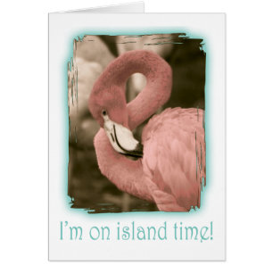 I'm on Island Time