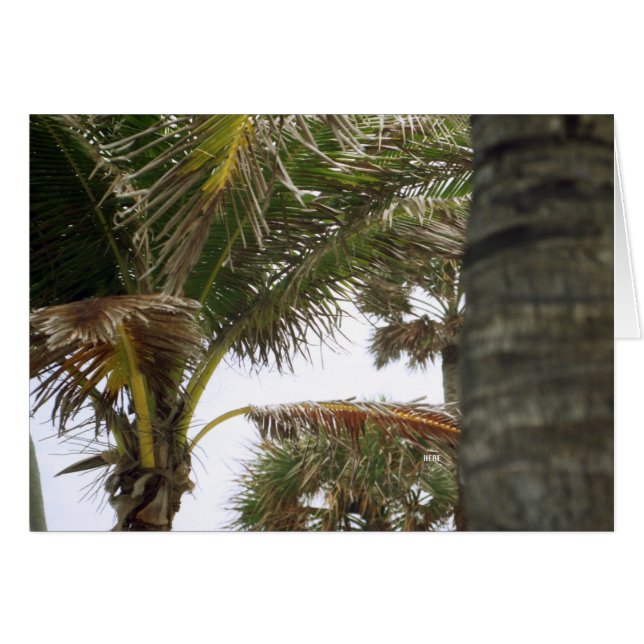 I'm on Island Time! (Front Horizontal)