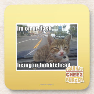 Im on ur dash coaster