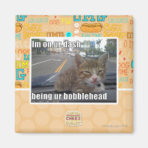 Im on ur dash magnet