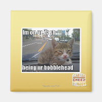 Im on ur dash