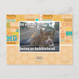 Im on ur dash postcard